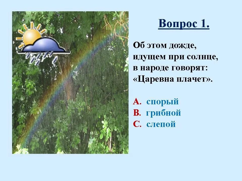 Почему бывают дожди. Сочинение на тему какие бывают дожди. Дождь при солнце как называется. Какие бывают дождь модели. Грибной дождь это какой дождь.