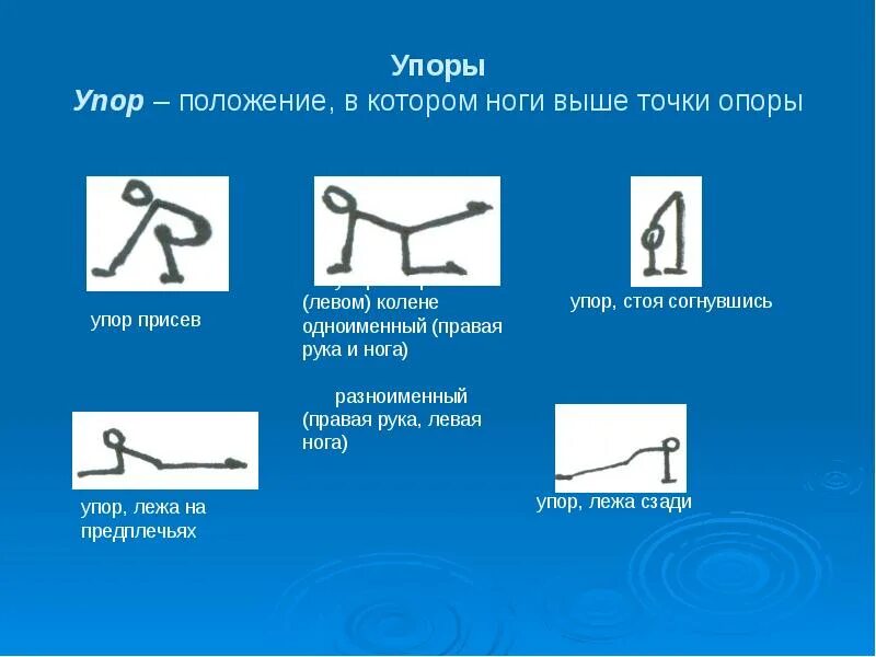 Название представленного положения. Гимнастическая терминология. основные положения в гимнастике. исходные положения терминология гимнастика. гимнастические термины названия.