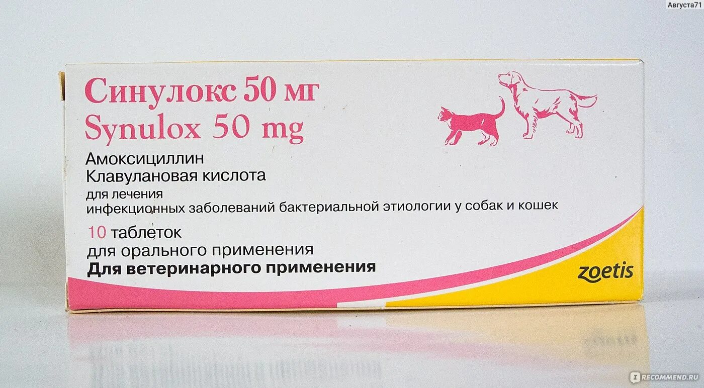 Синулокс дозировка. Синулокс 150 мг. Синулокс 500 мг для собак. Синулокс 50 мг таблетки. Антибиотик ветеринарный синулокс 500.