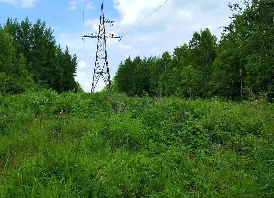 Линия вл 110 кв. Вл 110 расчистка леса. Высоковольтная линия 110 кв в тайге. Вл 110 кв в лесу. Просека вл 110 кв.