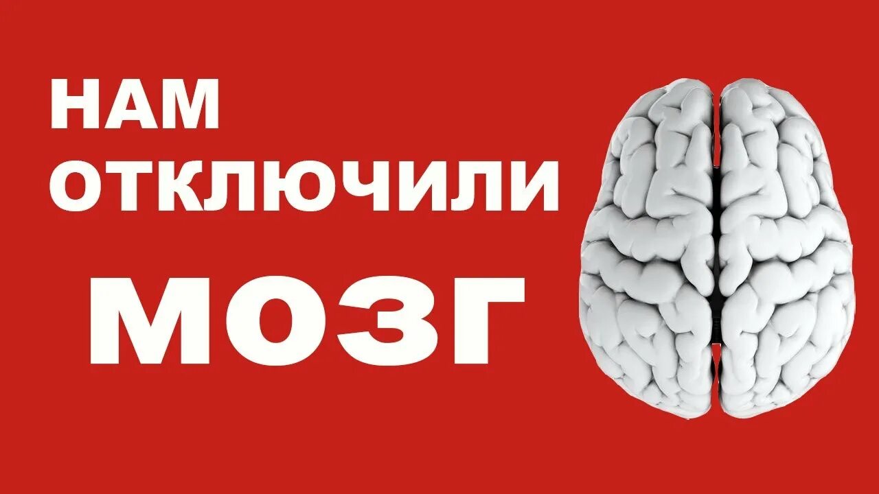 Отключение мозга. Выключи мозг. Мозг выключен. Отключить мозг. Мозг отключился.