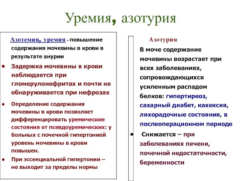 Повышенное содержание мочевины называется. Повышение содержания мочевины в крови. Повышение мочевины крови как называется. Причины повышения мочевины в крови. Мочевина пониженная причины