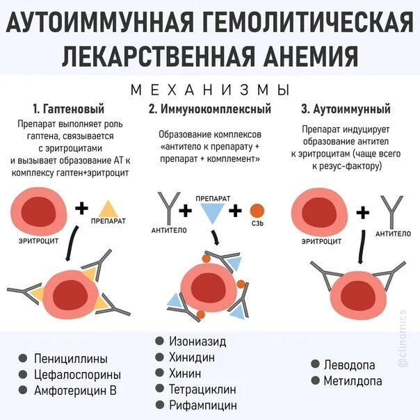 Железо после беременности. Механизм развития аутоиммунной гемолитической анемии. Аутоиммунная гемолитическая анемия патогенез схема. Показатели периферической крови при гемолитической анемии. Аутоиммунные гемолитические анемии у детей патогенез.