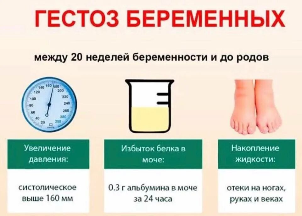 Повышенный белок в моче у беременных. Гестоз при беременности в 3 триместре симптомы. Поздний гестоз. Симптомы позднего гестоза. Поздний гестоз симптомы.