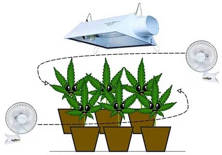 Grow row