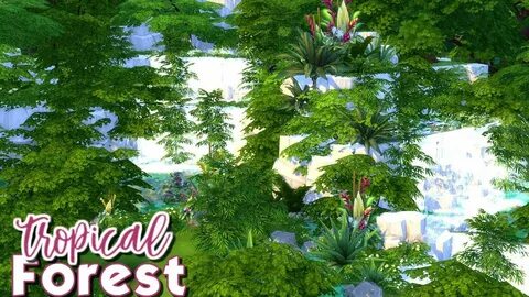 Forest lot
