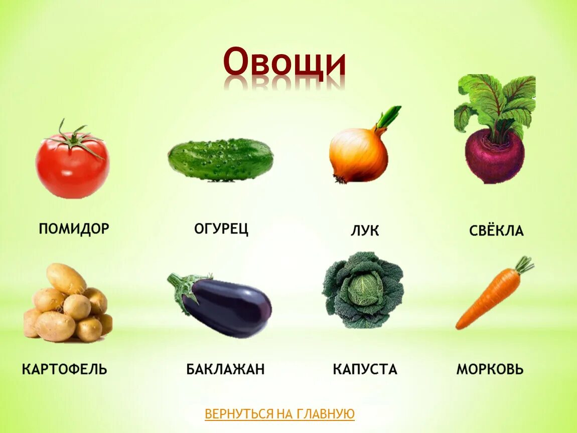 Математика 3 класс овощи. Огурцы помидоры лук овощи. Помидор это фрукт или овощ. Овощи 1 класс. Томатные овощи список.
