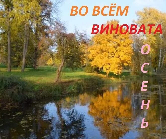 Виновата осень