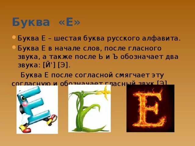 Объясни в каких словах буквы е. Слова на букву е в начале. Слова с буквой ё в середине. Слова начинающиеся на букву е. Буква е в конце слова.