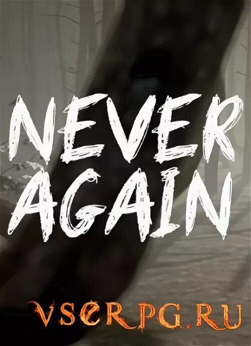 Never and never again. Never again игра. картинки never again. never again надпись. never again poster game.