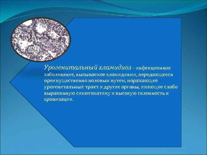 Урогенитальный хламидиоз механизм передачи. Первым этапом инфекционного процесса урогенитального хламидиоза является. Хламидиоз клинические проявления. Урогенитальный хламидиоз. Хламидийная инфекция клинические формы.