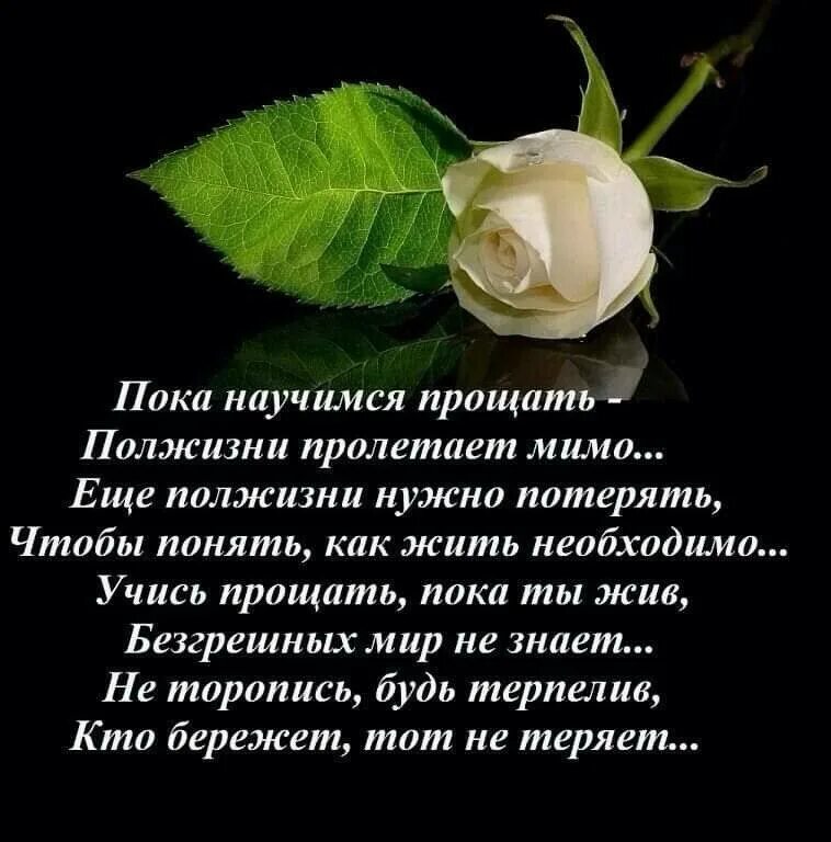 Читать научи меня прощать полностью. Высказывания о прощении. стихи о прощении обид мужчине. прости меня цитаты. цитаты про прощение и любовь.