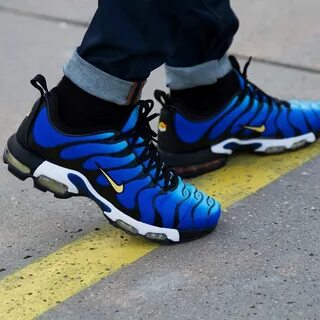 Blue max plus
