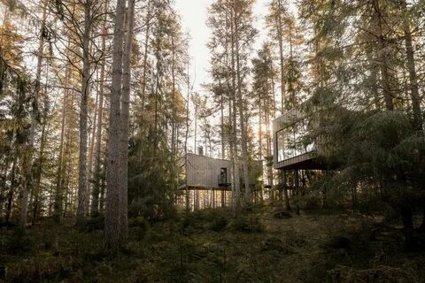 Forest in hotel