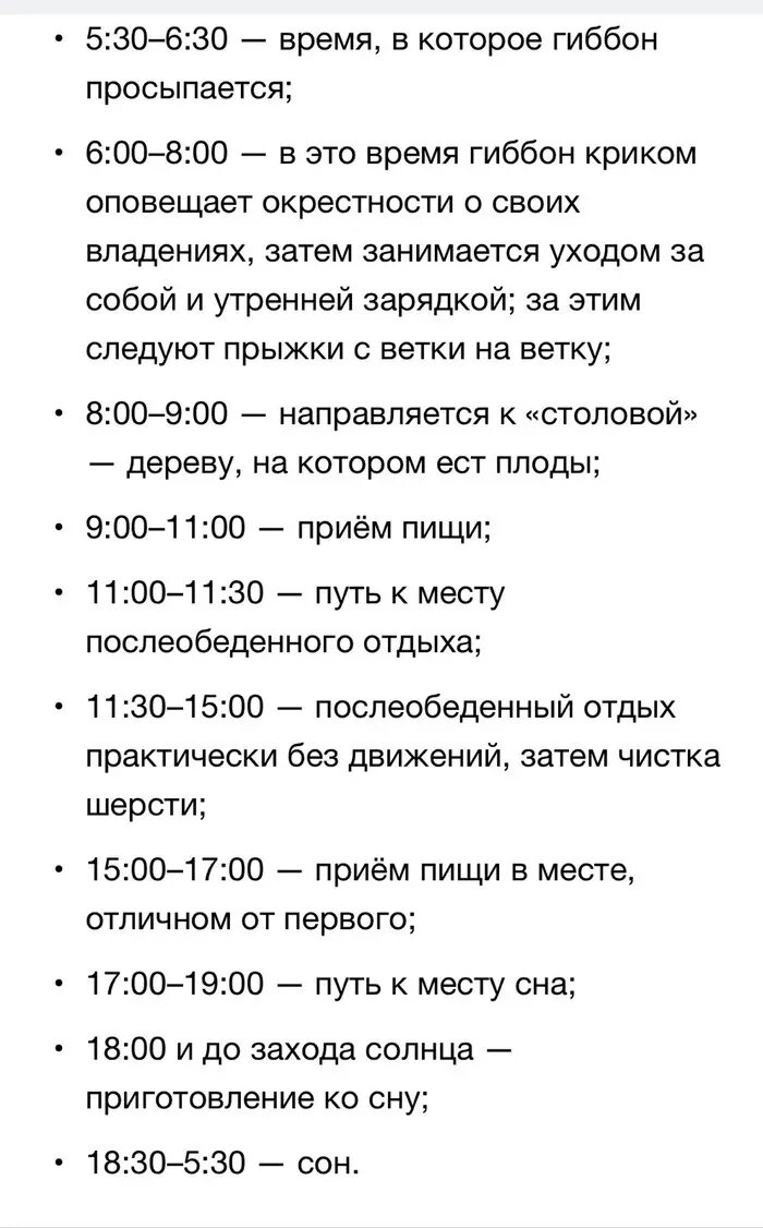 Дым туманы стелит. Гиббон аи 2 текст. Душа музыканта гиббон аи-2 текст. Гиббон аи-2 альбомы. Душа музыканта гиббон.