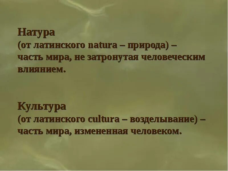 Значение слова в натуре. Культура и натура. Культура и натура сравнение. Культура от латинского. Латынь в культуре.