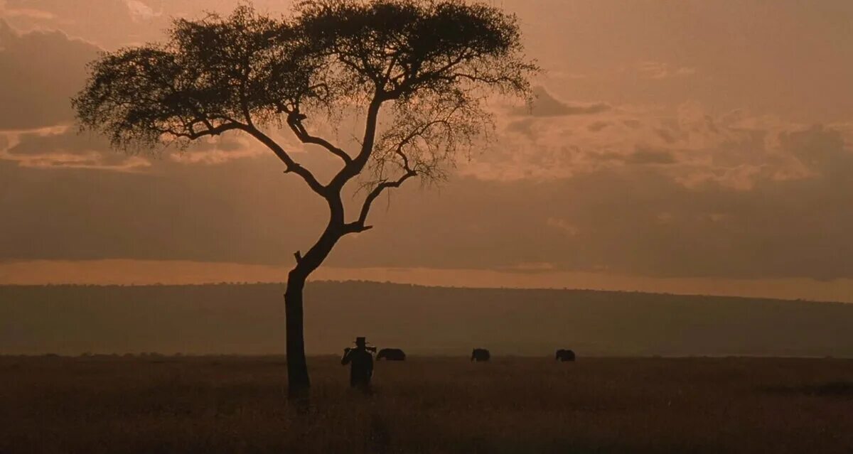 Из Африки» (Сидни Поллак, 1985). Из Африки. Out of africa