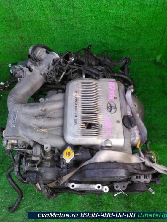 Camry 3sfe
