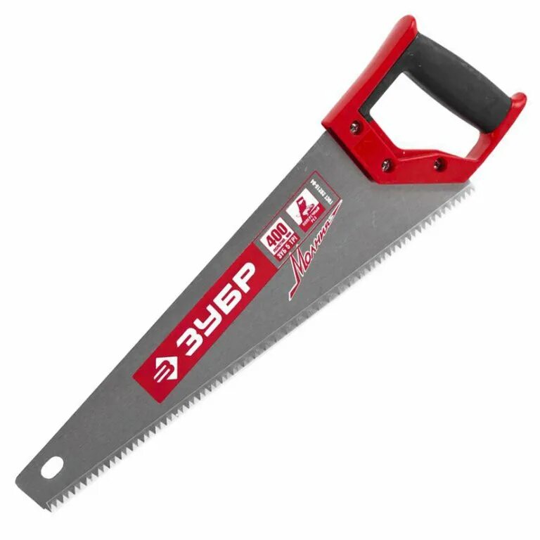 Смешной зубр. Зубы зубра фото. Голова зубра. Зубр дальневосточный. Глаза зубра.