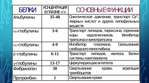 Альбумины и глобулины