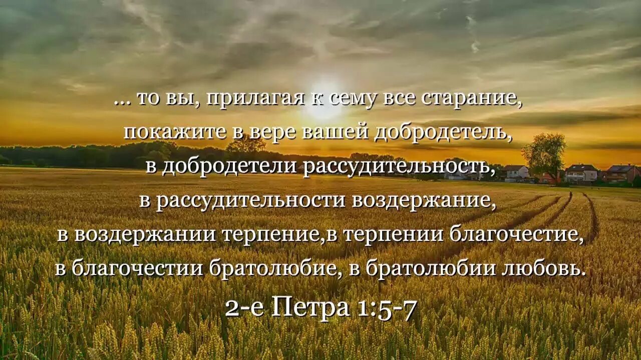 Со всем усердием и со всею ревностию