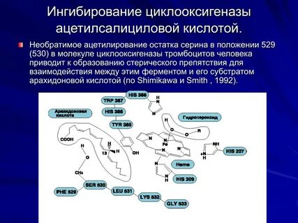 К селективным ингибиторам циклооксигеназы 2 го