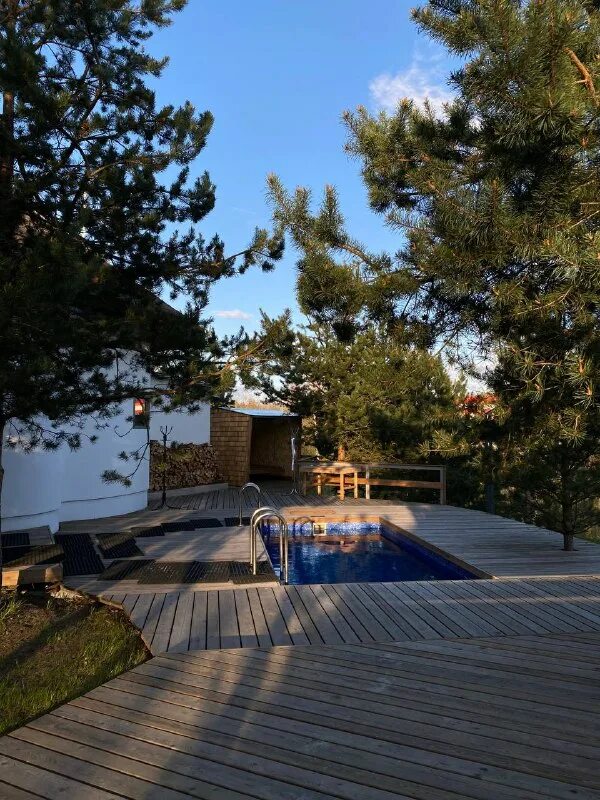 камыши банное