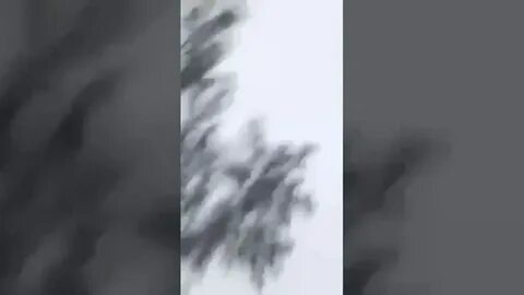 Расстрелянный в упор