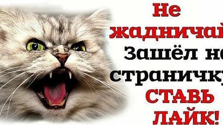 Просто зайди на сайт. Зашедшим на страничку. Заходи к нам на страничку. Заходите на страничку. Заходишь ко мне на страничку.