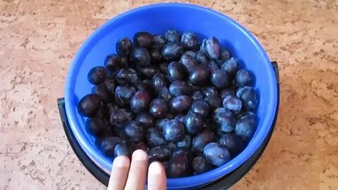 Чернослив и слива в чем разница