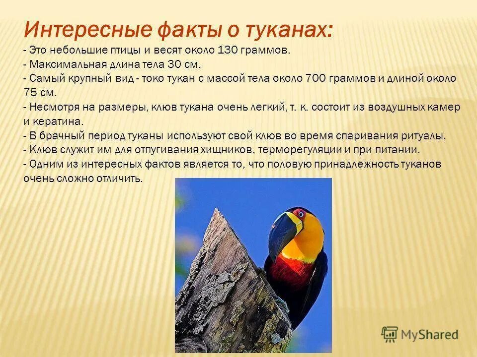 Интересное описание