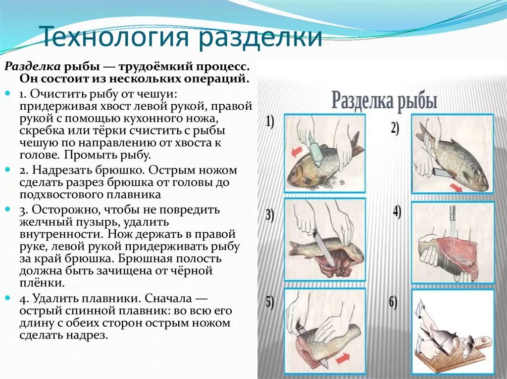 Первичная обработка рыбы 6 класс технология. Схема обработки чешуйчатой рыбы. Технологическая карта по разделкирыбы. Технологические схемы потрошения рыбы. Обработка рыбы операции