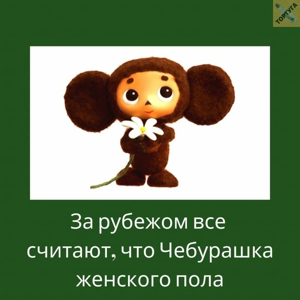 Какой вес у чебурашки. Какой вес у чебурашки. Мероприятия в день рождения чебурашки. Какой вес у чебурашки. Какой вес у чебурашки.