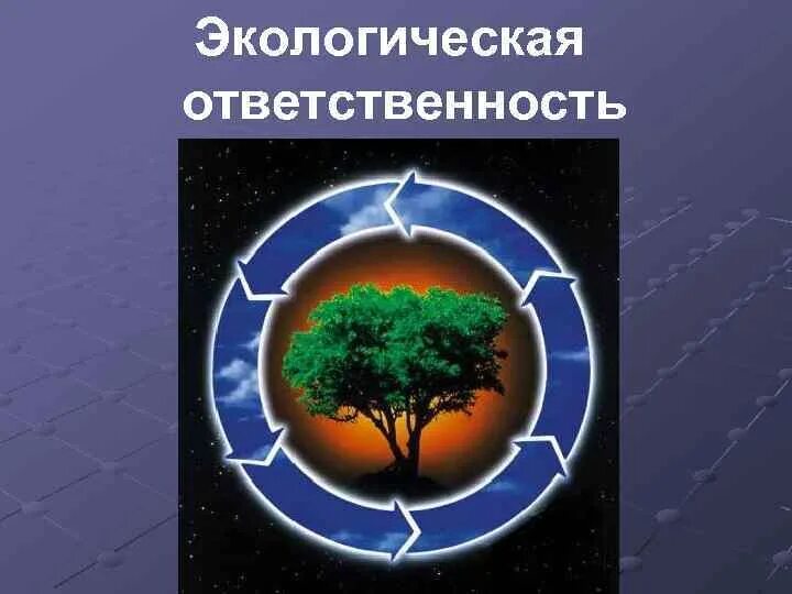 Экологическая ответственность. Экология ответственность. Экологическая ответственность личности. Экологическая ответственность компании.