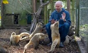 Бенджамин ми. Дартмурский зоопарк бенджамин ми. бенджамин ми владелец зоопарка. dartmoor zoological park. бенджамин би зоопарк.