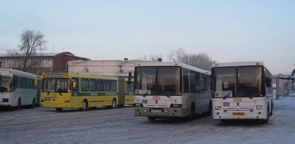 Пассажирский автотранспорт
