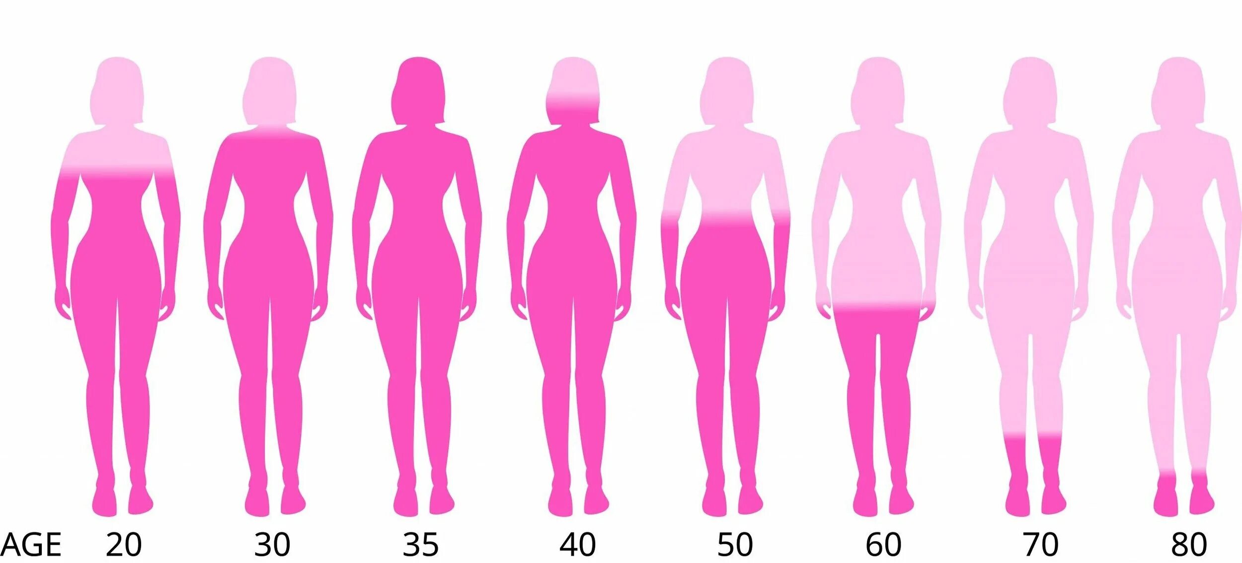 Повышенный уровень у женщин. Девушки разного возраста. Уровень эстрогена в разном возрасте. Уровень эстрогена у женщин по возрасту. Тело женщины в разном возрасте.
