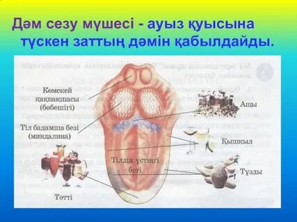 Ауыз алу