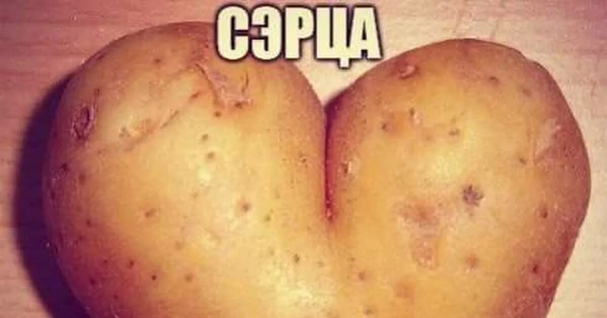Heart Potato stock image. Image of isolated, heart, potato - 64374339
