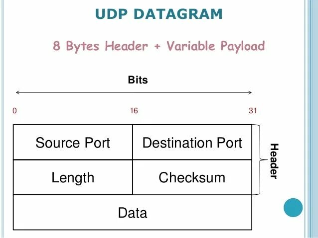 Udp tracker opentrackr org. Udp дейтаграмма. пример дейтаграммы udp. mpls датаграмма. datagram upd.