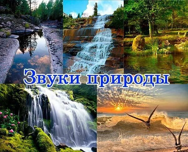 презентация звуки живой природы. мир звуков природы. звучащая природа. лето. звучание природы.