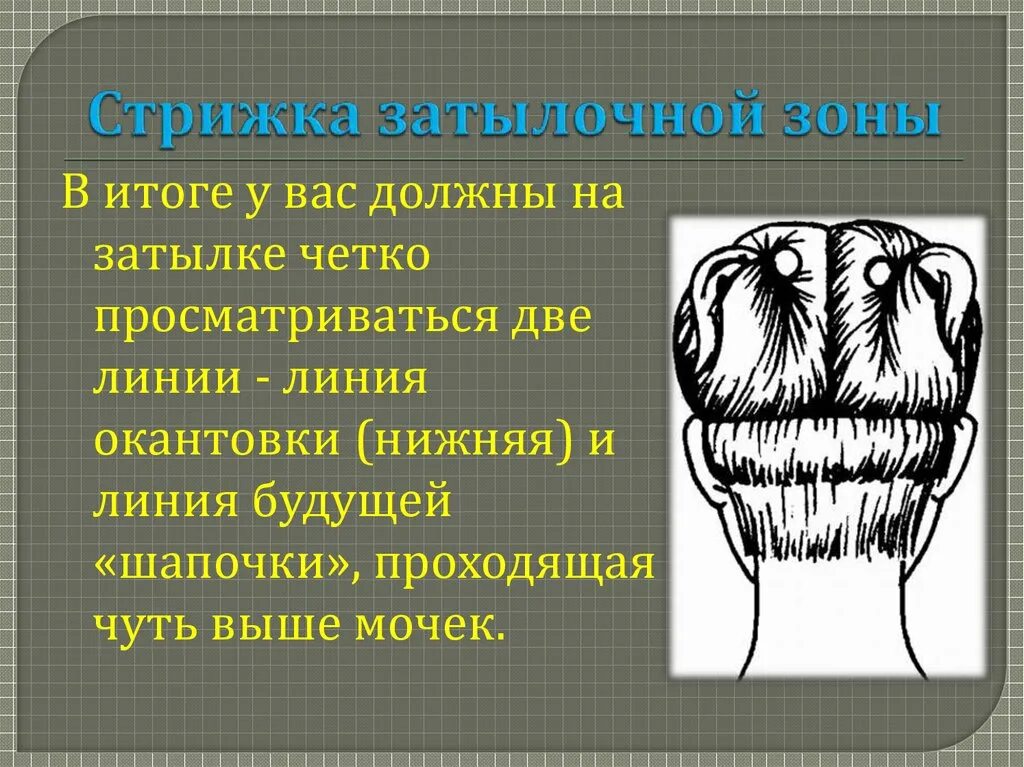 Зона затылка. Стрижка нижней затылочной зоны. Нижняя затылочная зона. Окрашивания Нижне залыточной зоны. Прическа в нижней затылочной зоне.