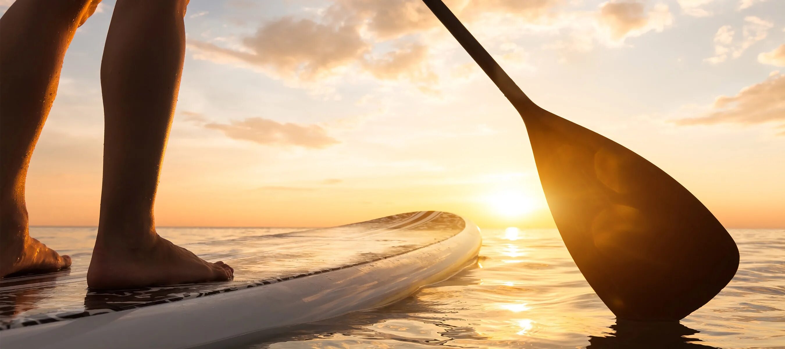 Паддл крик. Вино Paddle Board. Sup пляж. САП борд Фламинго. Sup Board и деньги.