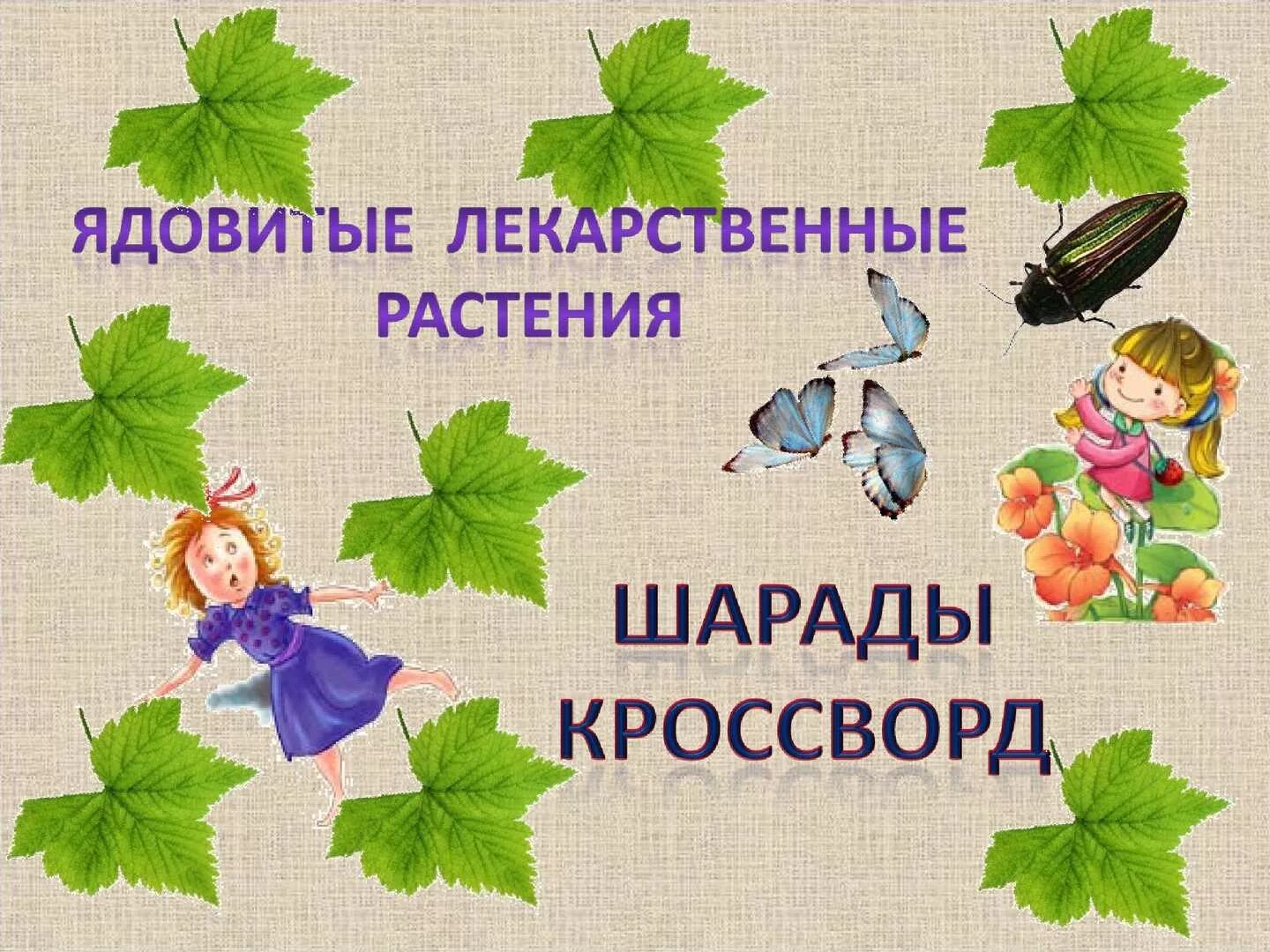 Ядовитый цветок сканворд. Ядовитый цветок сканворд