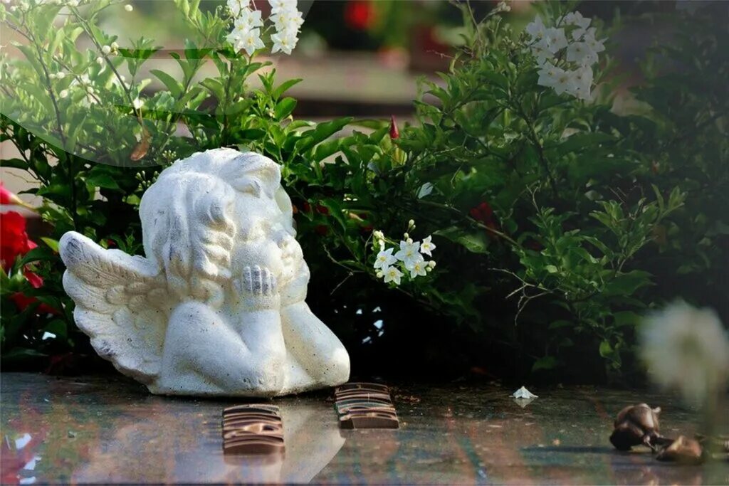 ритуальная служба клин. броникс сервис ритуальные услуги. агент ритуальных услуг. броникс сервис ритуальные услуги. ритуальные услуги.