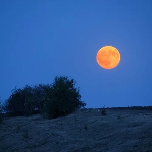 Большая оранжевая луна. Оранжевая Луна. Луна оранжевого цвета. Огромная оранжевая Луна. Оранжевое полнолуние.