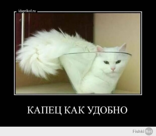 Значение слова капец. Капец. картинка капец. капец картинки прикольные. капец рисунок.
