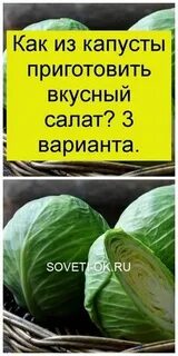 Капуста варианты слов