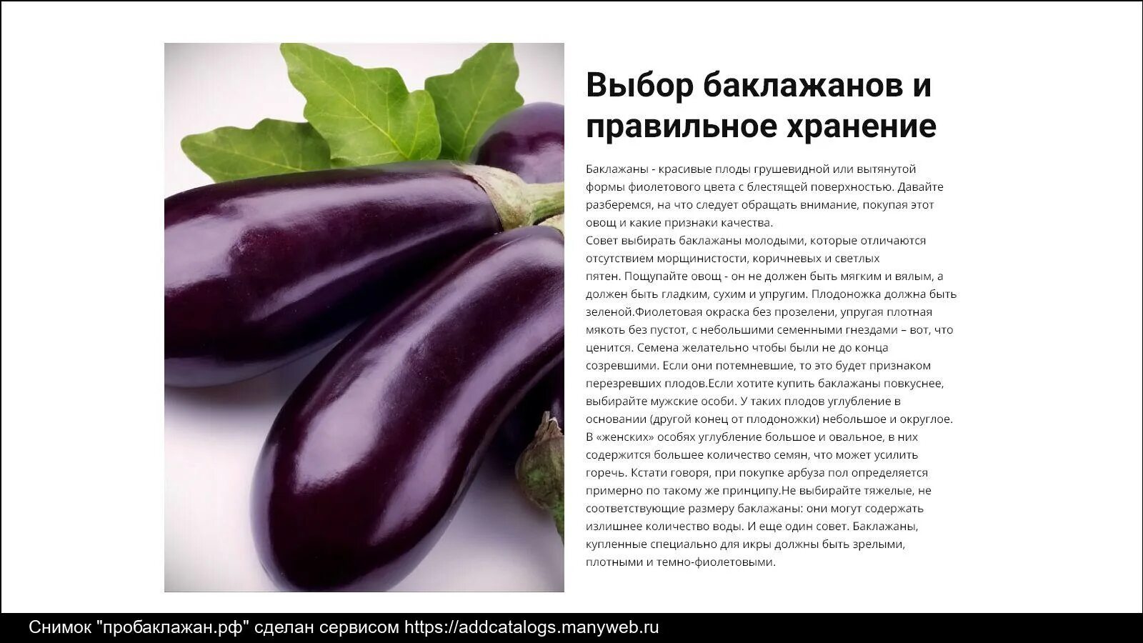 Когда давать детям баклажан. Баклажан фон. баклажан семейство. баклажан алмаз. баклажан эпик.