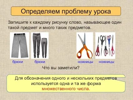 Брюки число